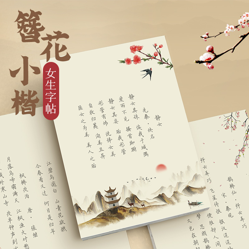Chinese Calligraphy Practice Book - Тетрадь для каллиграфии Hairpin Flower Small