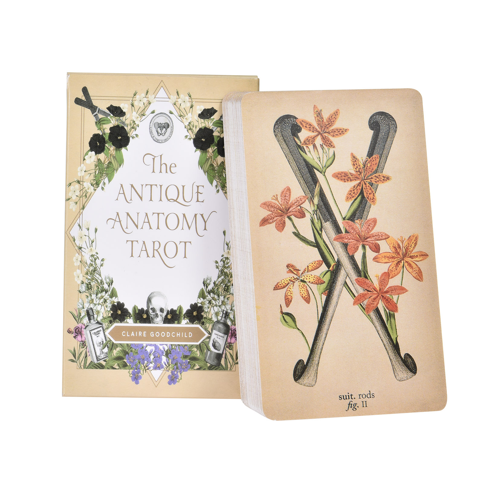 Tarot Deck With Guidebook - Карты Таро «Античная Анатомия», английская версия,